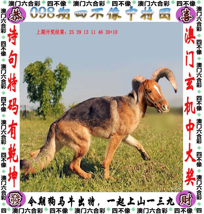 admin 第121页